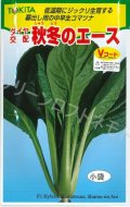 送料無料　[小松菜]　秋冬のエース　10ml　トキタ種苗(株)