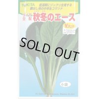[小松菜]　秋冬のエース　10ml　トキタ種苗（株）