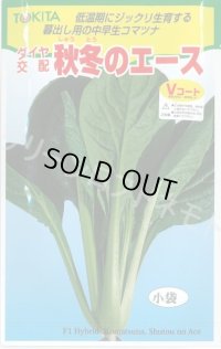 送料無料　[小松菜]　秋冬のエース　10ml　トキタ種苗(株)
