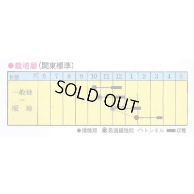 画像2: 送料無料　[小松菜]　秋冬のエース　10ml　トキタ種苗(株)