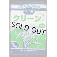 [緑肥]　ライ麦　クリーン　1kg　カネコ種苗(株）