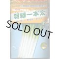 送料無料　[ねぎ]　羽緑一本太葱(コートしてません)　1dl　(株)トーホク