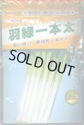 送料無料　[ねぎ]　羽緑一本太葱(コートしてません)　1dl　(株)トーホク