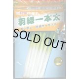 送料無料　[ねぎ]　羽緑一本太葱(コートしてません)　1dl　(株)トーホク