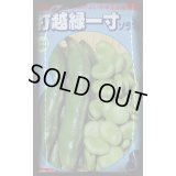 [そら豆]　打越緑一寸　1L(およそ230粒)　(株)サカタのタネ