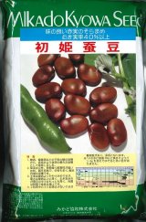 [そら豆]　初姫　230粒　ヴィルモランみかど（株）