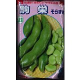 [そら豆]　駒栄　1L(およそ260粒)　(株)サカタのタネ