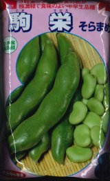[そら豆]　駒栄　1L(およそ260粒)　(株)サカタのタネ