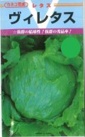 送料無料　[レタス]　ヴィレタス　20ml　カネコ育成
