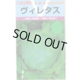 送料無料　[レタス]　ヴィレタス　20ml　カネコ育成