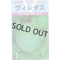送料無料　[レタス]　ヴィレタス　20ml　カネコ育成