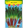 送料無料　[ねぎ]　赤ひげ　10ml　トキタ種苗(株)