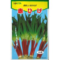 [ねぎ]　赤ひげ　10ml　トキタ種苗（株）