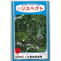 [キュウリ]　送料無料！リスペクト　350粒　（株）ときわ研究場