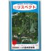 画像1: [キュウリ]　送料無料！リスペクト　350粒　（株）ときわ研究場 (1)