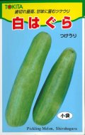 送料無料　[瓜類]　白はぐら　3ml(およそ100粒)　トキタ種苗(株)