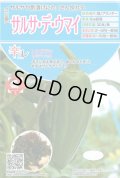 送料無料　[とうがらし]　ハラペーニョ　サルサ・デ・ウマイ　20粒　トキタ種苗(株)