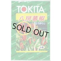 送料無料　[とうがらし]　八房とうがらし　3ml　トキタ種苗(株)