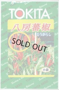 送料無料　[とうがらし]　八房とうがらし　3ml　トキタ種苗(株)
