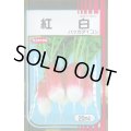 送料無料　[大根]　はつかだいこん　紅白　20ml　(株)サカタのタネ