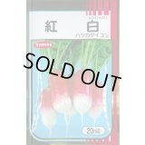 送料無料　[大根]　はつかだいこん　紅白　20ml　(株)サカタのタネ