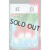 送料無料　[大根]　はつかだいこん　紅白　20ml　(株)サカタのタネ