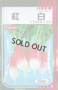 送料無料　[大根]　はつかだいこん　紅白　20ml　(株)サカタのタネ