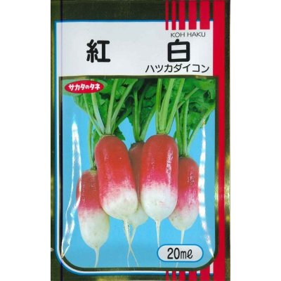 画像1: [大根]　はつかだいこん　紅白　20ｍｌ　サカタ交配　