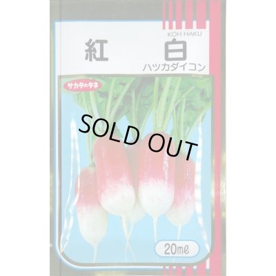 画像1: [大根] はつかだいこん 紅白 20ml (株)サカタのタネ
