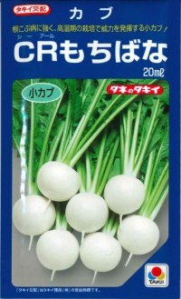 [かぶ]　ＣＲもちばな　20ｍｌ　タキイ種苗（株）