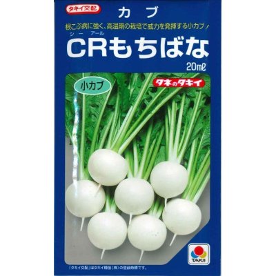 画像1: [かぶ]　ＣＲもちばな　20ｍｌ　タキイ種苗（株）