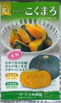 [かぼちゃ]　こくまろ　10粒　大和農園