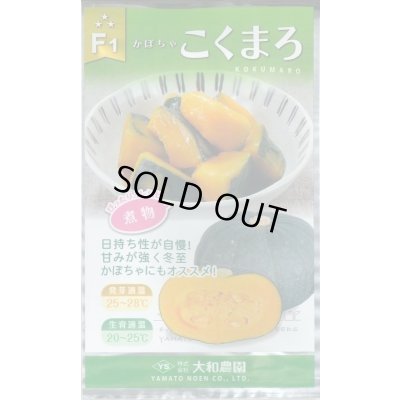 画像1: 送料無料　[かぼちゃ]　こくまろ　10粒　大和農園