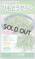 送料無料　[とうがらし]　ひもとうがらし1ml　（株）大和農園