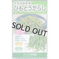 送料無料　[とうがらし]　ひもとうがらし1ml　大和農園