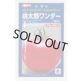 送料無料　[トマト/桃太郎系]　桃太郎ワンダー　1000粒　タキイ種苗(株)