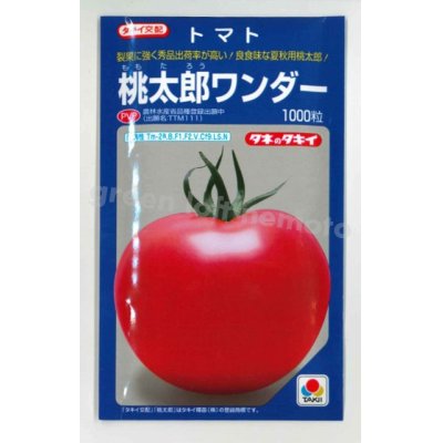 画像1: [トマト/桃太郎系]　送料無料！　桃太郎ワンダー　1000粒　タキイ種苗（株）