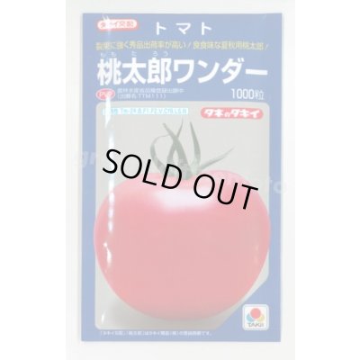 画像1: 送料無料　[トマト/桃太郎系]　桃太郎ワンダー　1000粒　タキイ種苗(株)