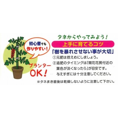 画像4: 送料無料　[トマト]　マイクロトマト　15粒　（株）アサヒ農園