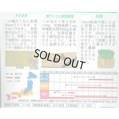 画像2: 送料無料　[葉物]　アイデアル(スイスチャード)　約30粒　(株)サカタのタネ　実咲350（002963）