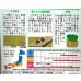 画像2: 送料無料　[葉物]　アイデアル(スイスチャード)　約30粒　(株)サカタのタネ　実咲350（002963） (2)