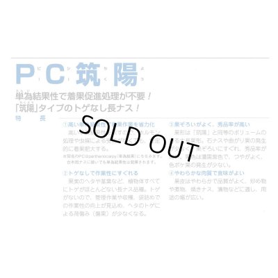 画像3: 送料無料　[なす]　PC筑陽　13粒　タキイ種苗(株)　DF