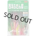送料無料　[葉物]　アイデアル(スイスチャード)　約30粒　(株)サカタのタネ　実咲350（002963）