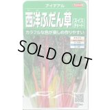 送料無料　[葉物]　アイデアル(スイスチャード)　約30粒　(株)サカタのタネ　実咲350（002963）