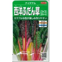 [葉物]　アイデアル（スイスチャード）　約30粒　サカタ交配　実咲