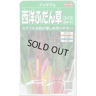 画像1: 送料無料　[葉物]　アイデアル(スイスチャード)　約30粒　(株)サカタのタネ　実咲350（002963）