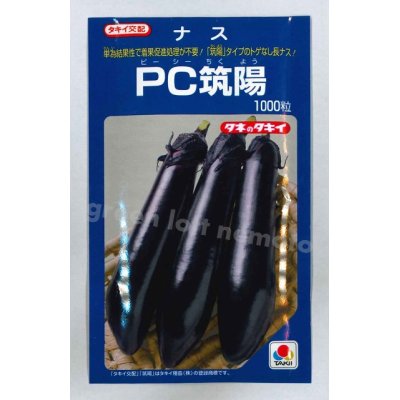 画像1: [なす]　送料無料！　PC筑陽　1000粒　タキイ種苗（株）