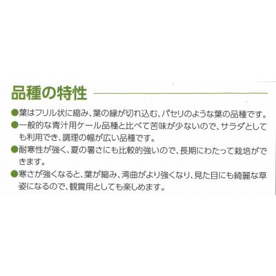 画像6: 送料無料　ちりめんケール　カーリーレッド　コート種子30粒　松永種苗(株)