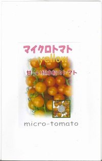 [トマト]　マイクロトマト（イエロー）20粒　　アサヒ育成