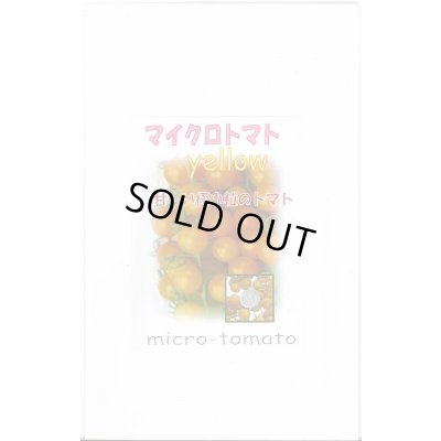 画像1: 送料無料　[トマト]　マイクロトマト(イエロー)20粒　アサヒ育成